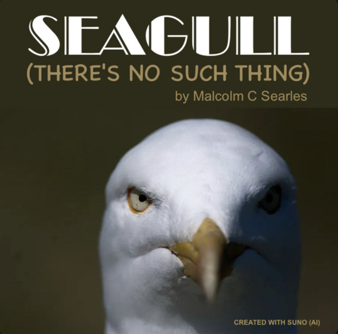 Seagull (There’s No Such Thing) artwork